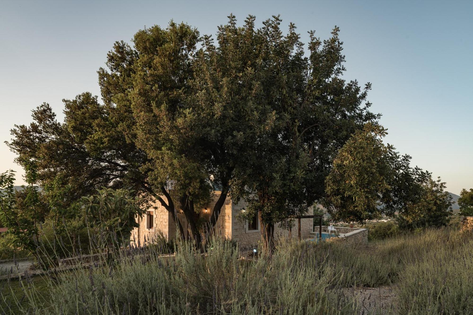 Koules Estate, With Private Pools & Bbq - Embracing Nature, By Thinkvilla Argouli Quarto foto